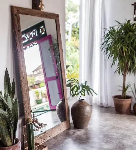 Gorgeous Colorful & Tropical - Vyg