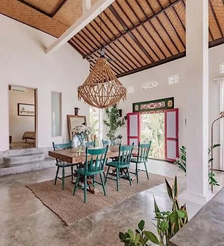 Gorgeous Colorful & Tropical - Vyg