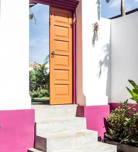 Gorgeous Colorful & Tropical - Vyg *