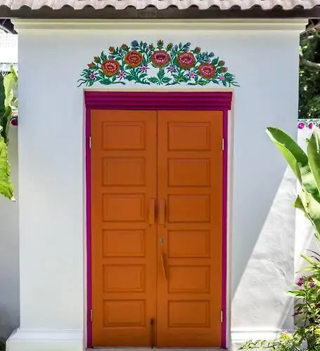 Gorgeous Colorful & Tropical - Vyg