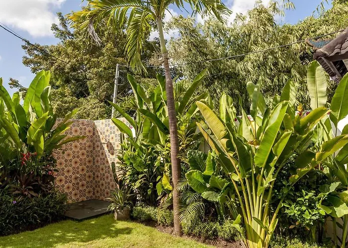 Gorgeous Colorful & Tropical - Vyg